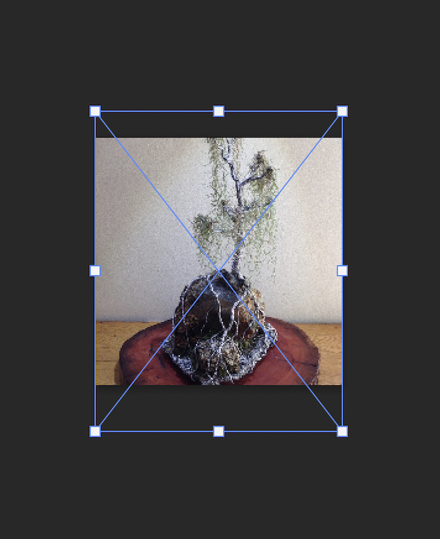 Using Photoshop to Create New Thumbnails for Live Wire Sculptures